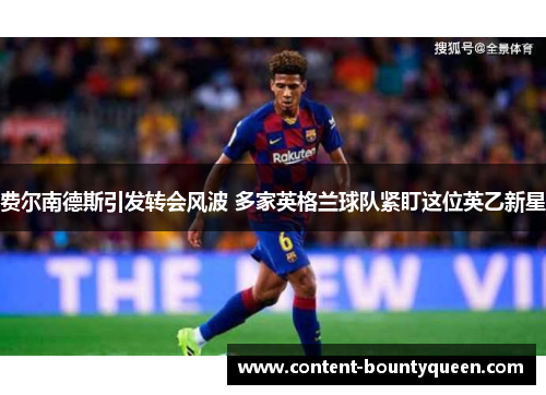 费尔南德斯引发转会风波 多家英格兰球队紧盯这位英乙新星