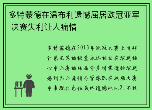 多特蒙德在温布利遗憾屈居欧冠亚军 决赛失利让人痛惜 多特蒙德在温布利遗憾屈居欧冠亚军 决赛失利让人痛惜