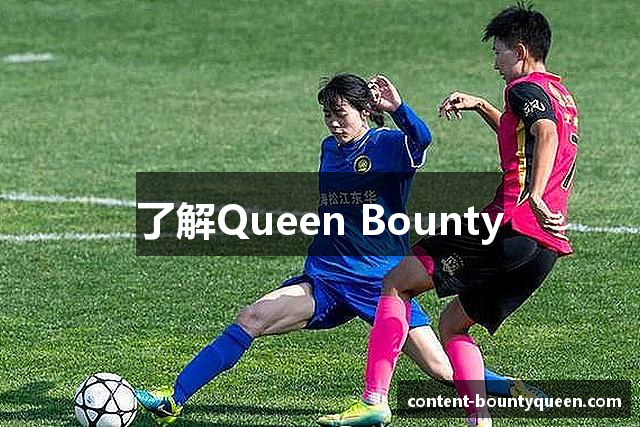 了解Queen Bounty